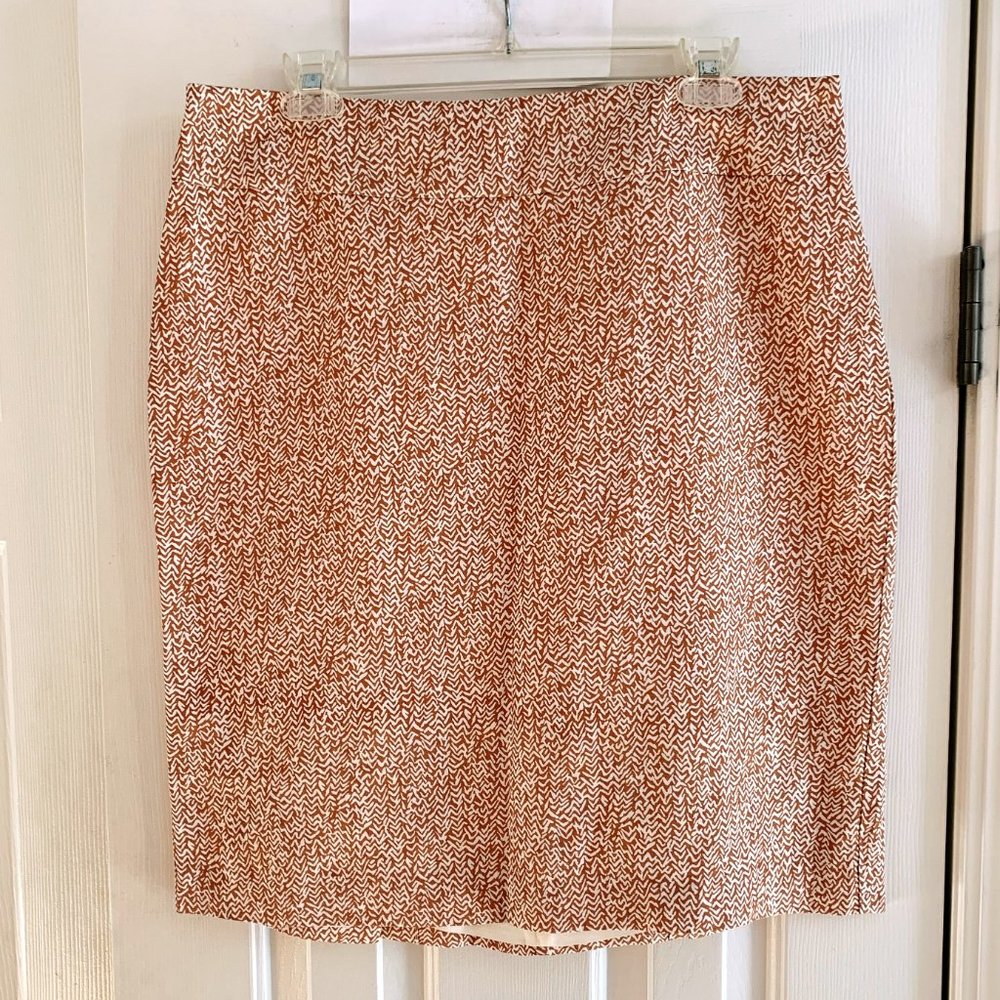 Banana Republic Skirt – 12